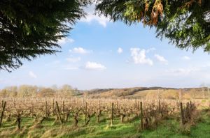 Photo 22- click for photo gallery